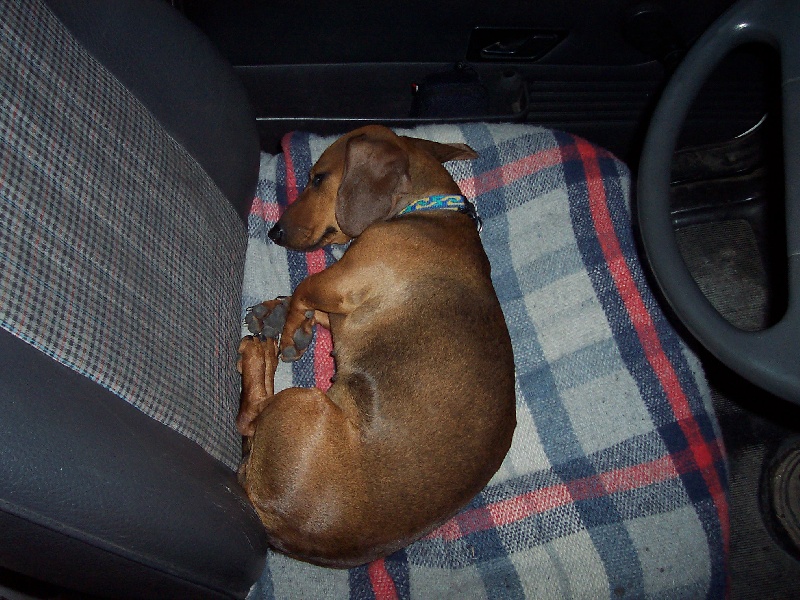 Ultime-uriel du domaine de luard